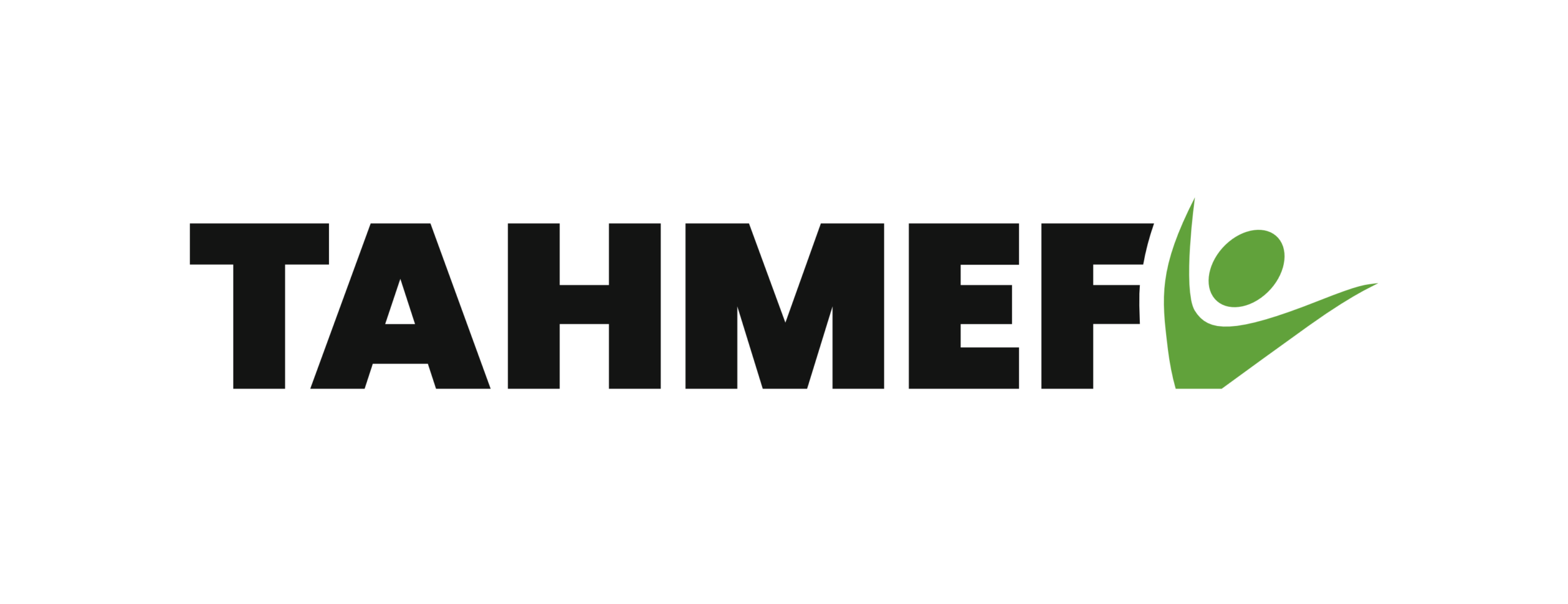 TAHMEF logo_BASIC